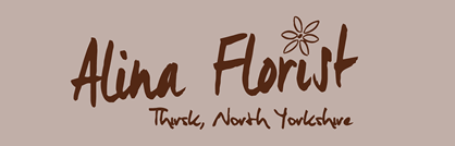 Website example: Alina Florist
